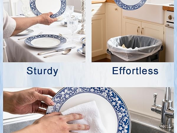 Blue and White Plastic Plates