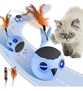 ORSDA Cat Toys, Interactive Cat Toy for Indoor Cats, Automatic Moving Ball Bird for Indoor Adult ...