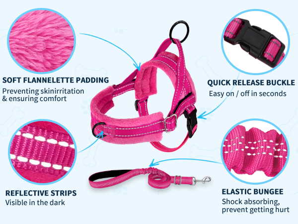 small dog harness leash set for small dogs