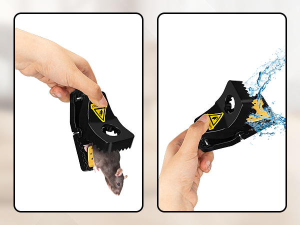 Rat and Chipmunk Traps