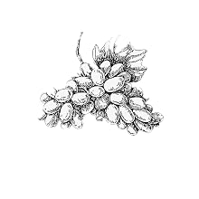 Sketching