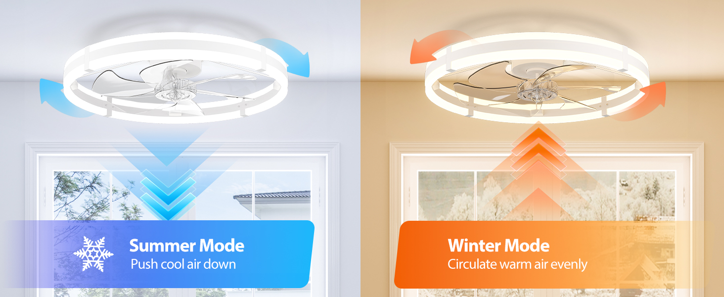 Ceiling fan