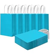 qiqee 24PCS Small Gift Bag with Handles Bulk 8.3