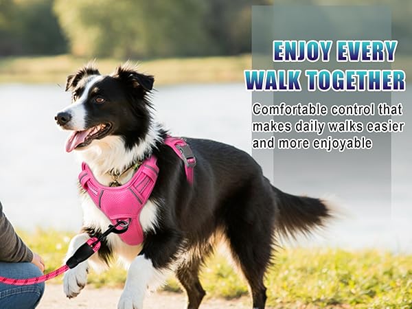 BARKBAY dog harness small large dogs no pull medium no pull pink dog harness M xl XS X-LARGE