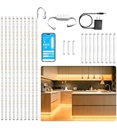 DAYBETTER Under Cabinet Lighting Kit,10 PCS Under Cabinet Lights,2700K-6500K Tunable White LED St...