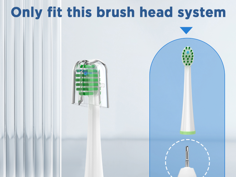 waterpik replacement heads