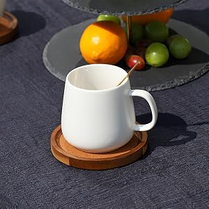 absorbent coasters