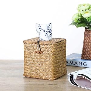 seagrass tissue cover