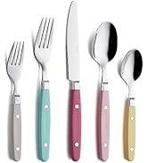 ANNOVA Silverware Set 20 Pieces Stainless Steel Color Handle With Rivet/Retro Flatware - 4 x Dinn...