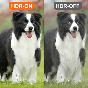 Hdmi to dp converter