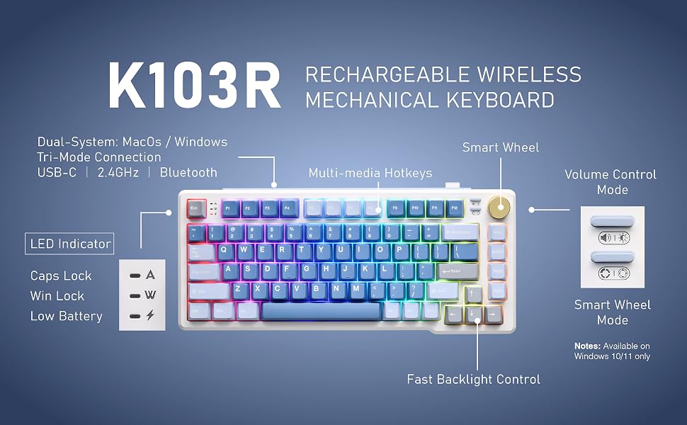 K103R A+Basic(BL)_Section 2