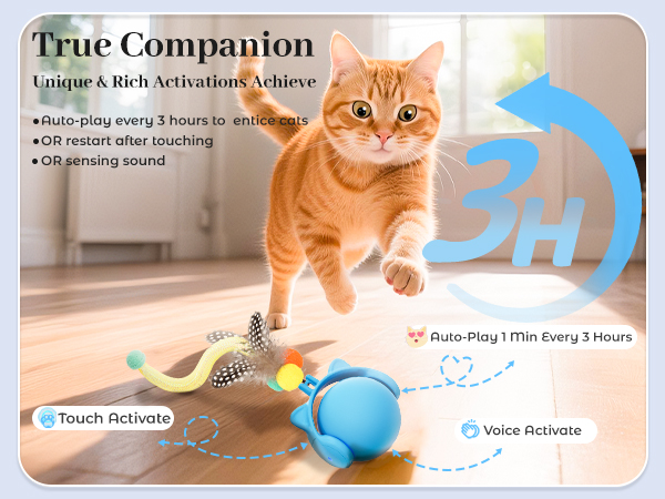 Cat Toy for Indoor Adult Cats