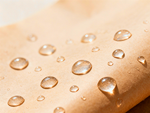precut parchment paper