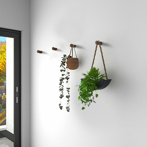 wall hooks for hanging