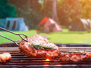 lasko blower fan 12 volt fan blower motor fan electric blower 12 volt fans vent fan air blower for