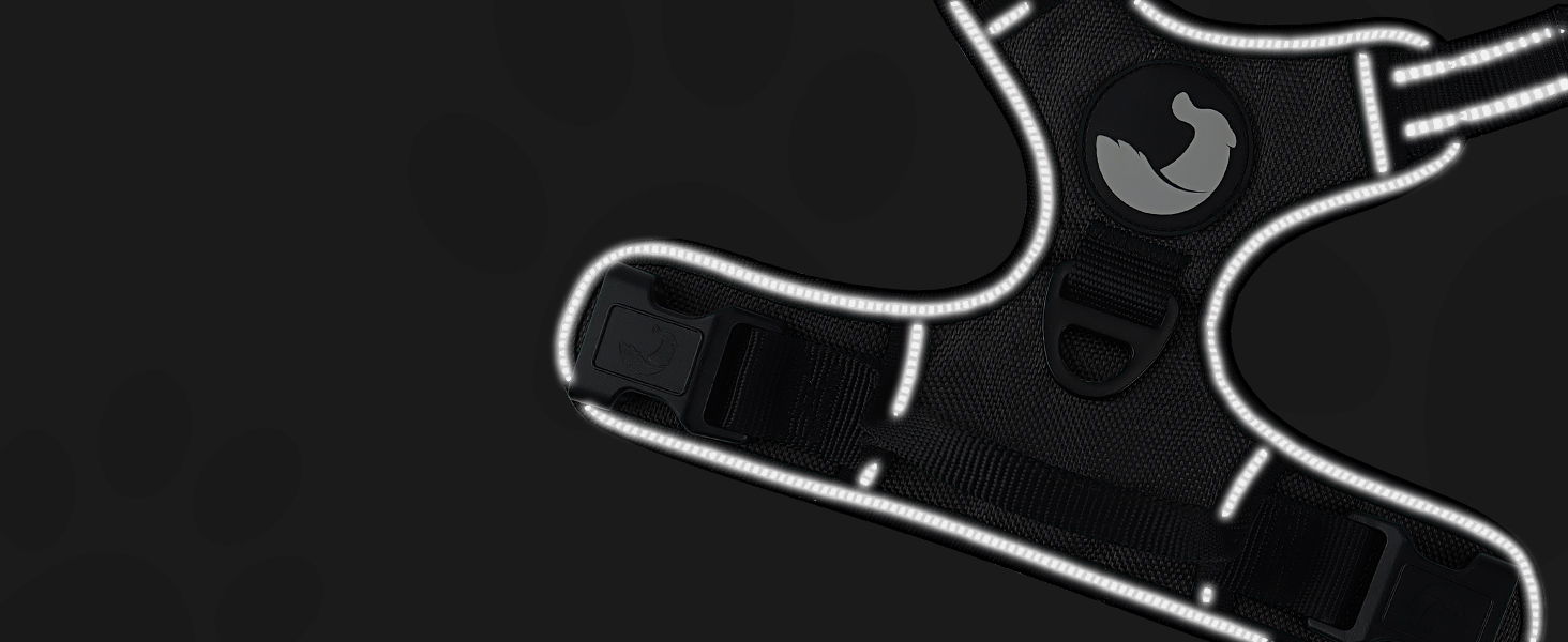 dog harness