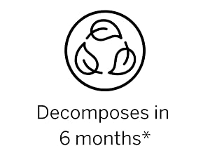 6 months