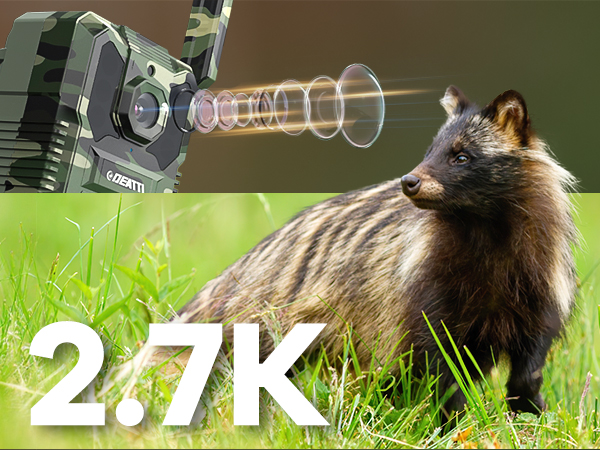 trail camera