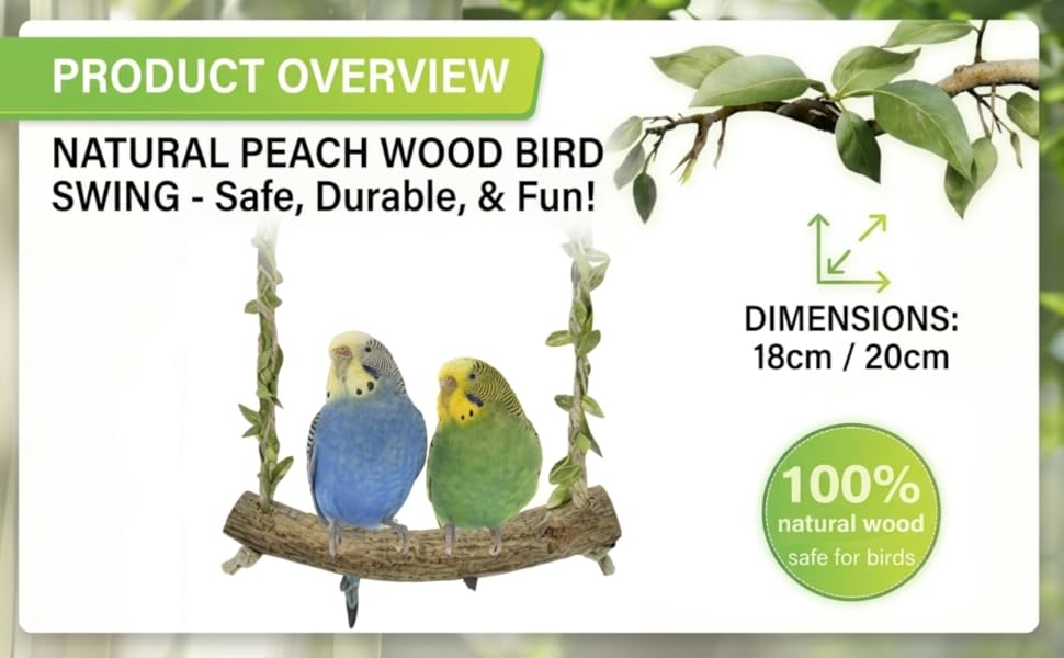 bird swings