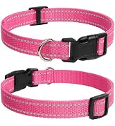 PaiPaitek E Collar Replacement Strap - Compatible with Almost All Makes and Models of Shock Train...