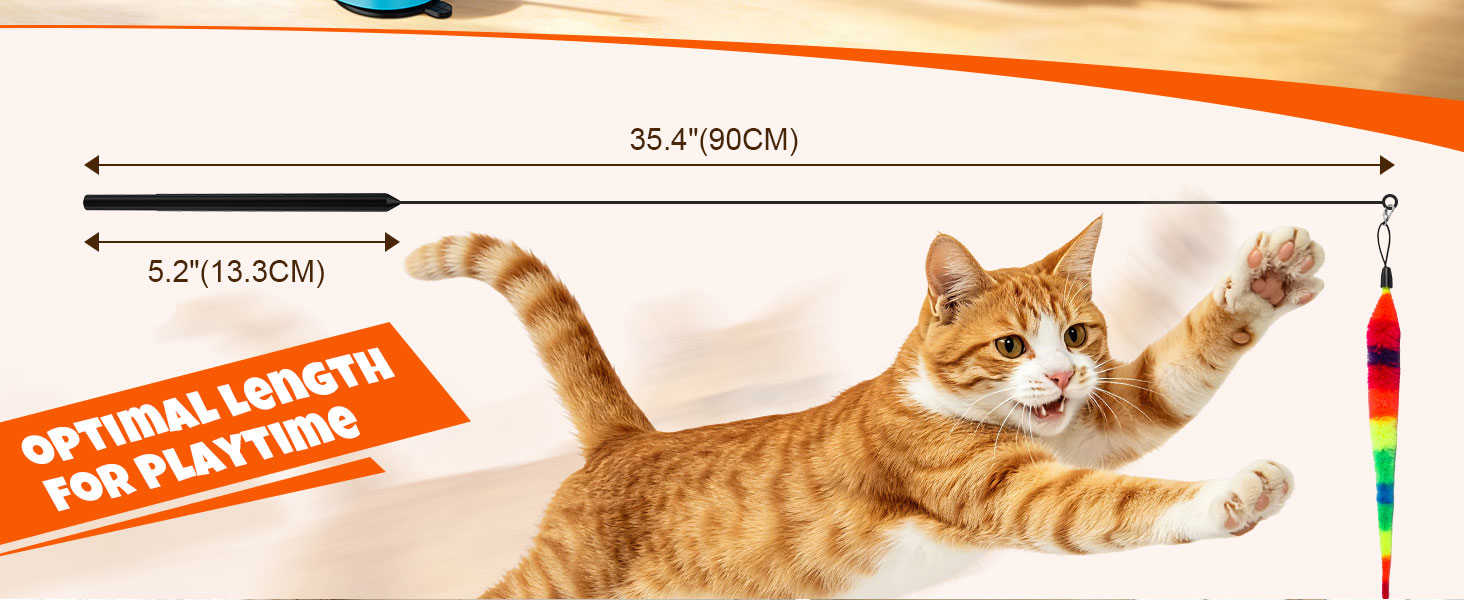 cat toys interactive