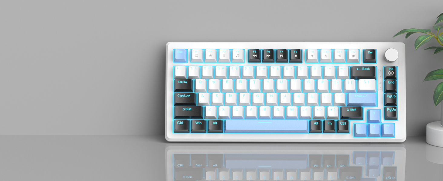 Vibrant Ice Blue Backlit