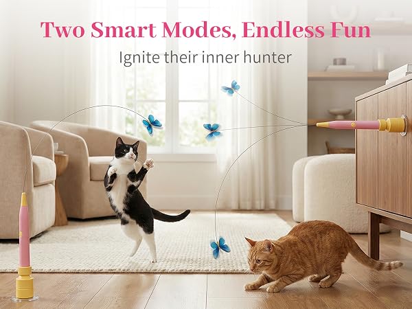 Focused kitties enjoy 2-mode suction butterfly toy, triggering natural hunting instincts.