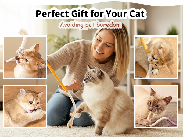 cat ropes
