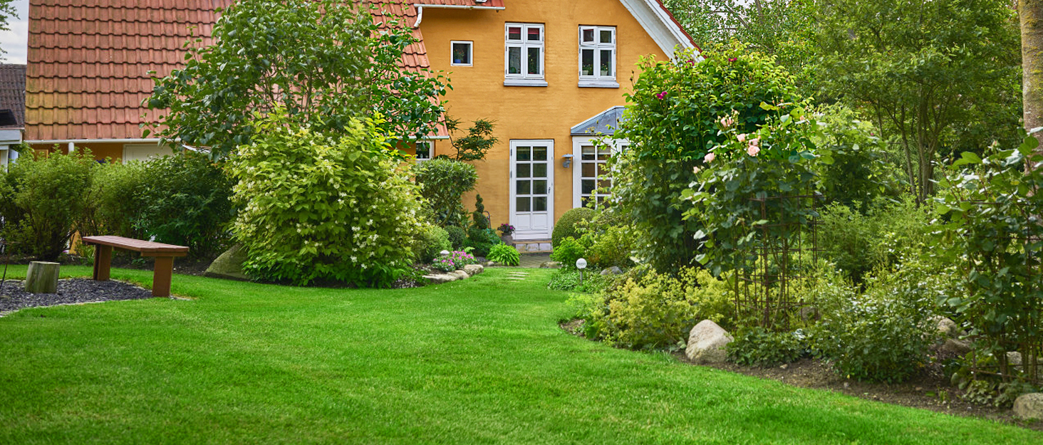 grass