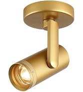 Opulux 12W LED Dimmable Zoomable Ceiling Spotlight Indoor – Adjustable Surface Mount Accent Light...