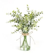 https://m.media-amazon.com/images/S/aplus-media-library-service-media/4c13d027-60f0-4ba2-b620-5ab76431c09c.__CR111,0,1778,2000_PT0_SX200_V1___.jpg