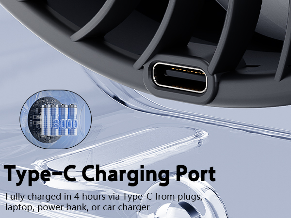 Type-C Charging Port