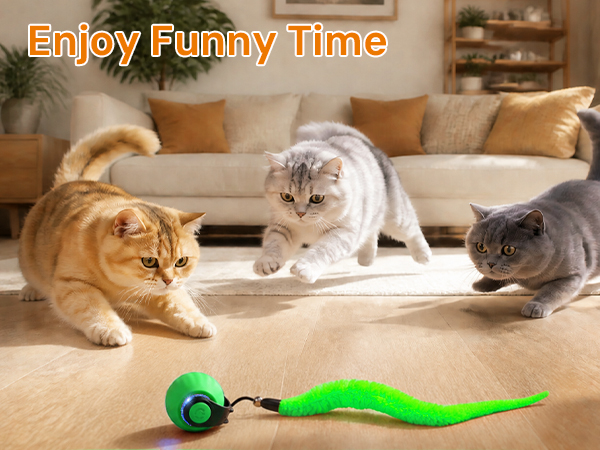 cat light toy