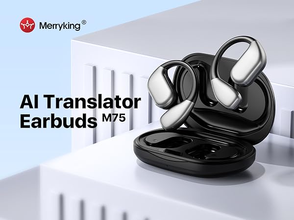 translation earbuds