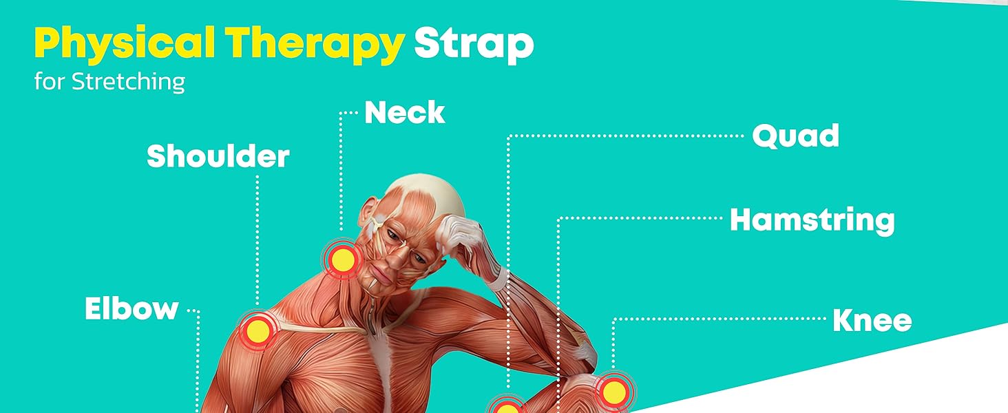 physical therapy strap