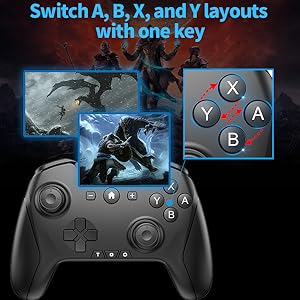 Switchable Controller