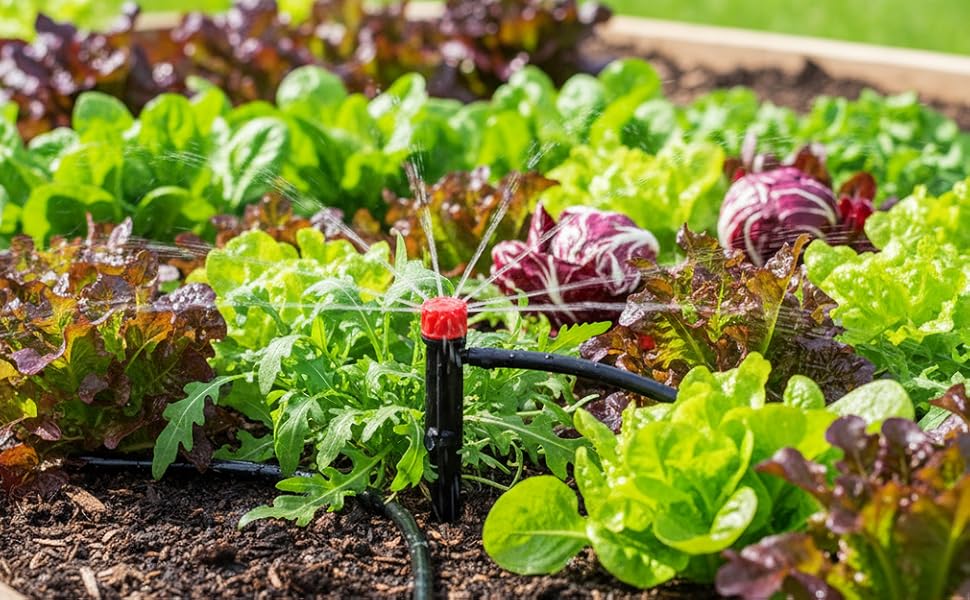 drip irrigation system
