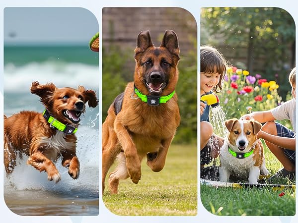 MYIWB Dog Tracking Collar for All Breeds, Waterproof, Durable, Multi-Scene Use