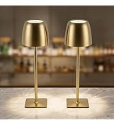 OLISHALIGHT Cordless Table Lamp Rechargeable: Metal & Acrylic 5200mAh Long-Lasting 3 Color Temper...