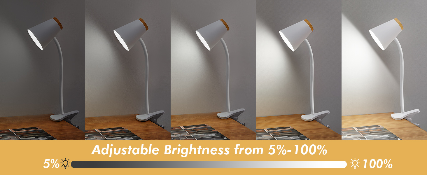 Dimmable desk lamp