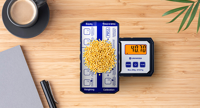 pocket scale