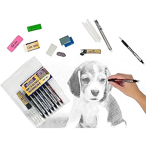 June Gold 8 mechanical pencils being used to draw a dog