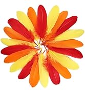 FeelfunFeather 120pcs Goose Feathers 6-8 Inch Decorative Natural Feather Bulk for DIY Crafts Wedd...