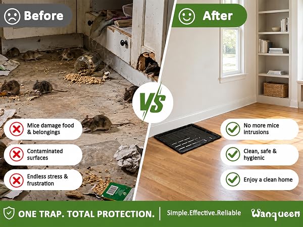 glue traps