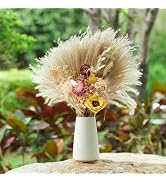 Ceuissp Dried Flowers and Plants