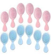 12 pcs Mini Hair Brush,Travel Detangling Brush with Exquisite Packaging Box,Mini Brush for Most H...
