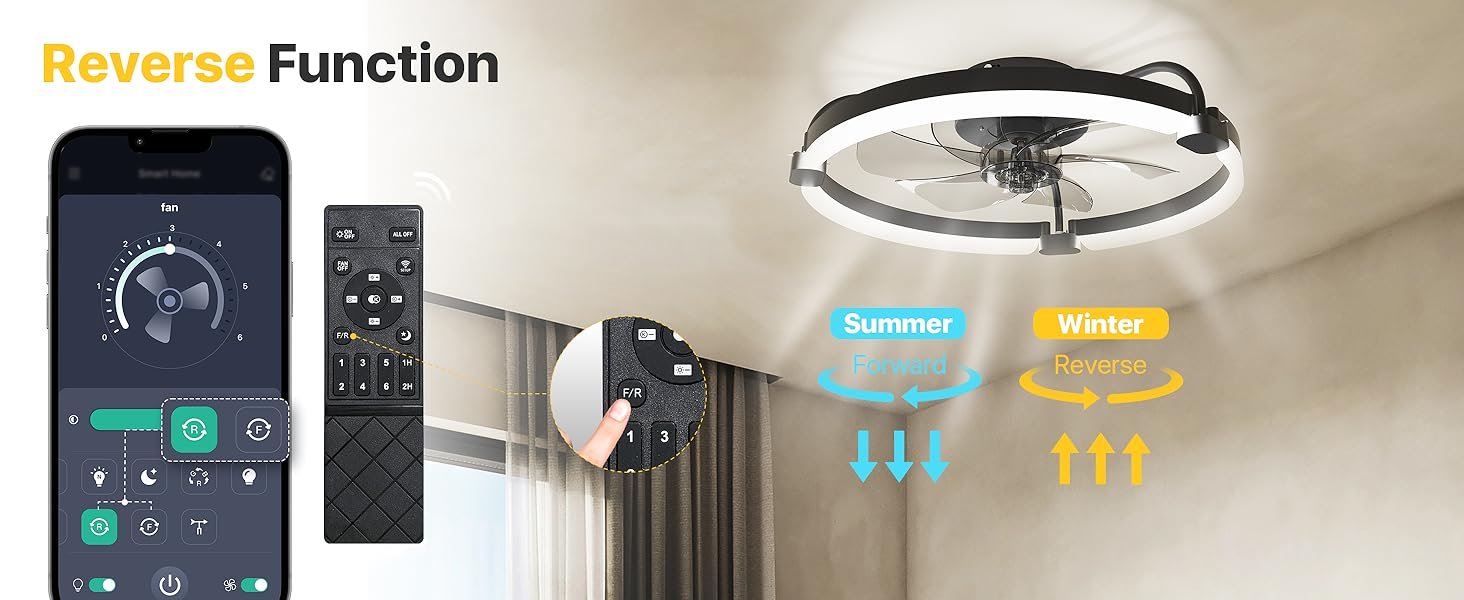 small ceiling fan with light