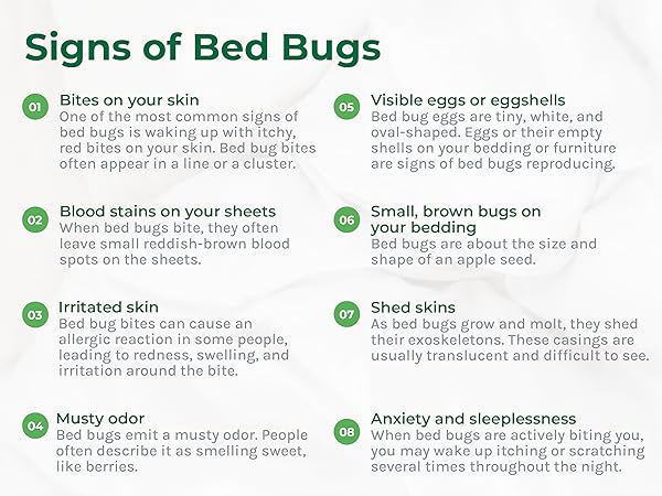 Signs of Bed Bugs