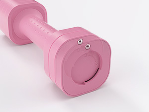 Adjustable Dumbbell Set of 2 Adjustable Weights Dumbbells Set Free Weights Dumbbells Set for Women