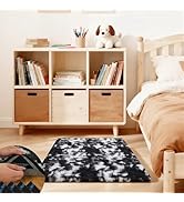 Ehayx Black and White Rugs for Bedroom, 2x3 Soft Fluffy Small Area Rug for Living Room, Shag Beds...